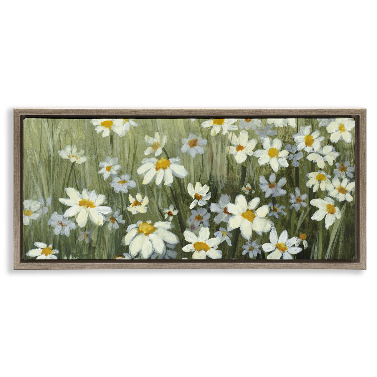 Stupell Industries Daisyland Meadow Flowers Floating Frame By Lanie Loreth